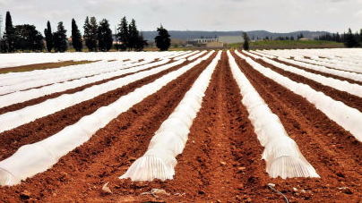 -fekete és UV-stabil fóliák -építési és takaró fóliák (12-100 m2) -stretch fóliák -sittes zsák -porelszívó zsák -kukás zsákok -lomb és zöldhulladékgyűjtő zsák -Big-Bag zsákok -csomagoló szalagok 